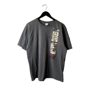 Vintage Y2K Grand Canyon AZ T Shirt Adult Gray XL Extra Large Graphic Tee Solid